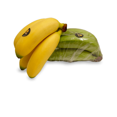 Baby Banana from Colombia