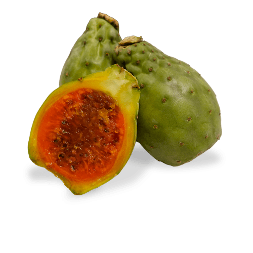 Fig from Colombia