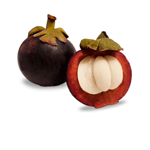 Colombian Mangosteen