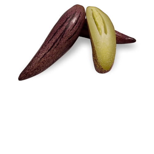 Colombian Sweet Pepino