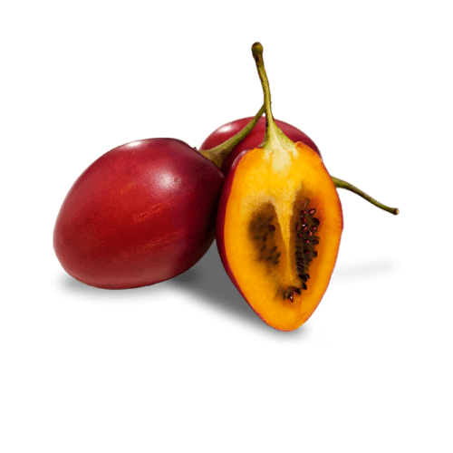 Tamarillo (Tree Tomato) from Colombia