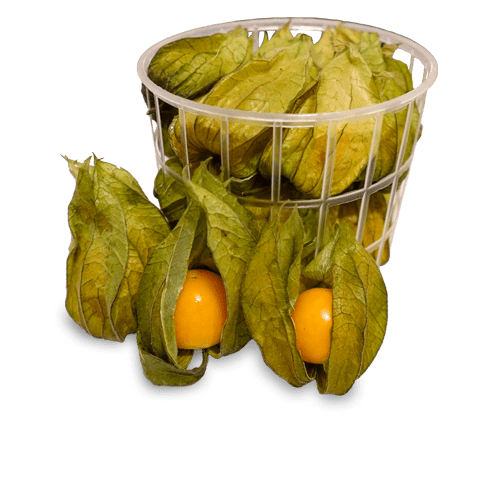 Uchuva (Physalis / Golden Berry) from Colombia